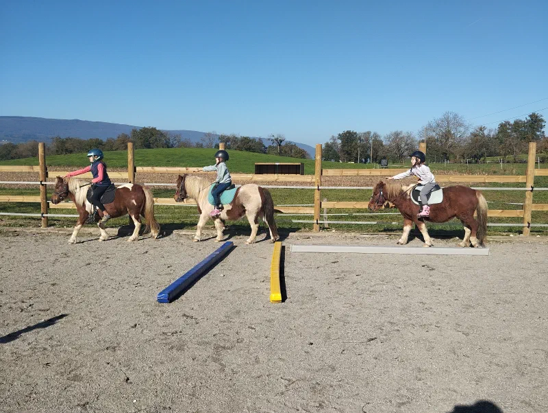 poney, cours