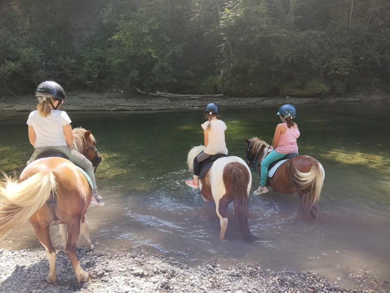 poney, baignade