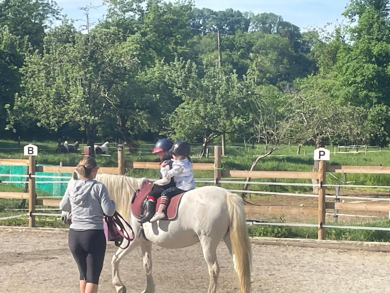 poney, cours de voltige