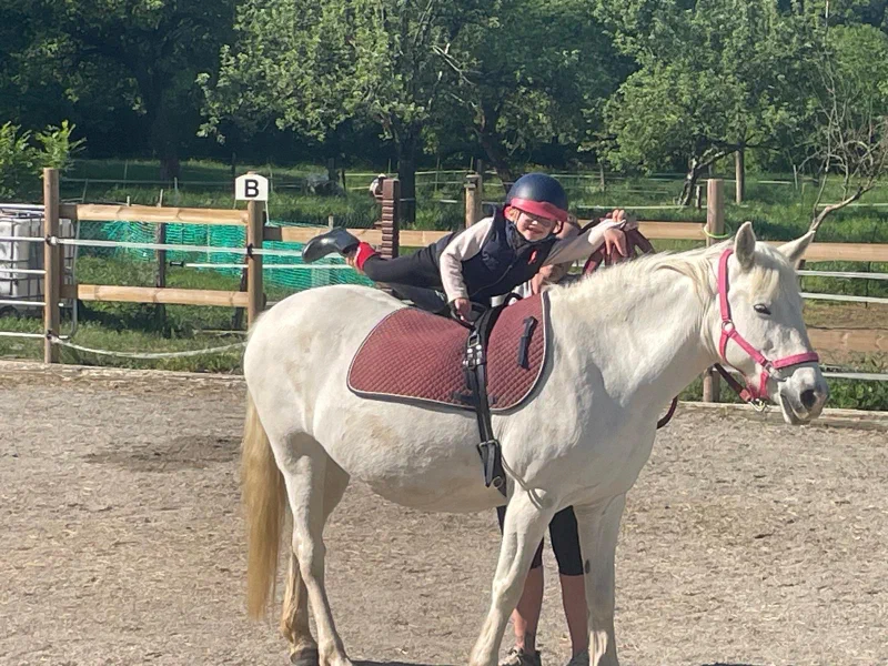 poney, cours de voltige