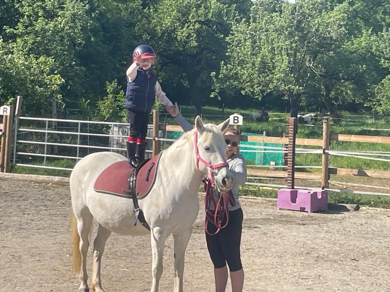 poney, cours de voltige